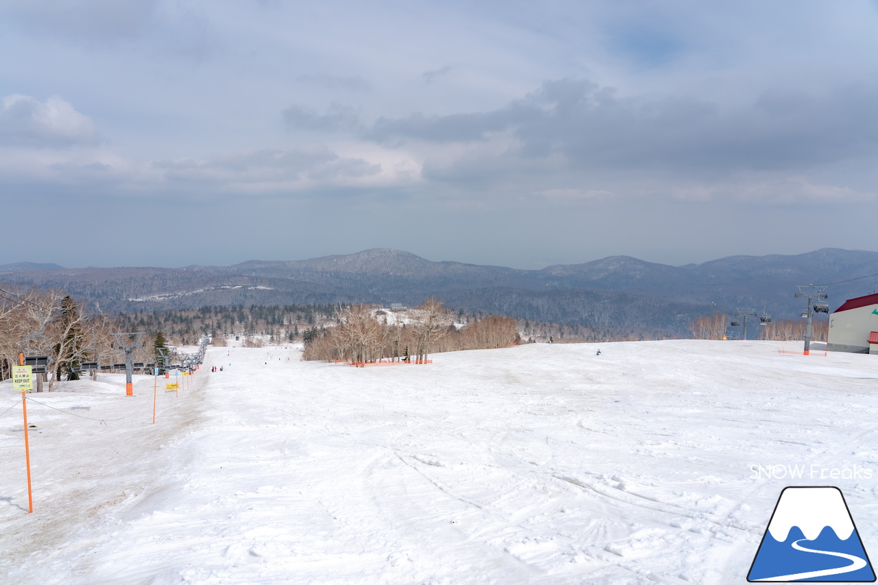 札幌国際スキー場｜2023・ゴールデンウィークがスタート！心配された雪ですが…。大丈夫、ちゃんと残ってくれました(^_-)-☆